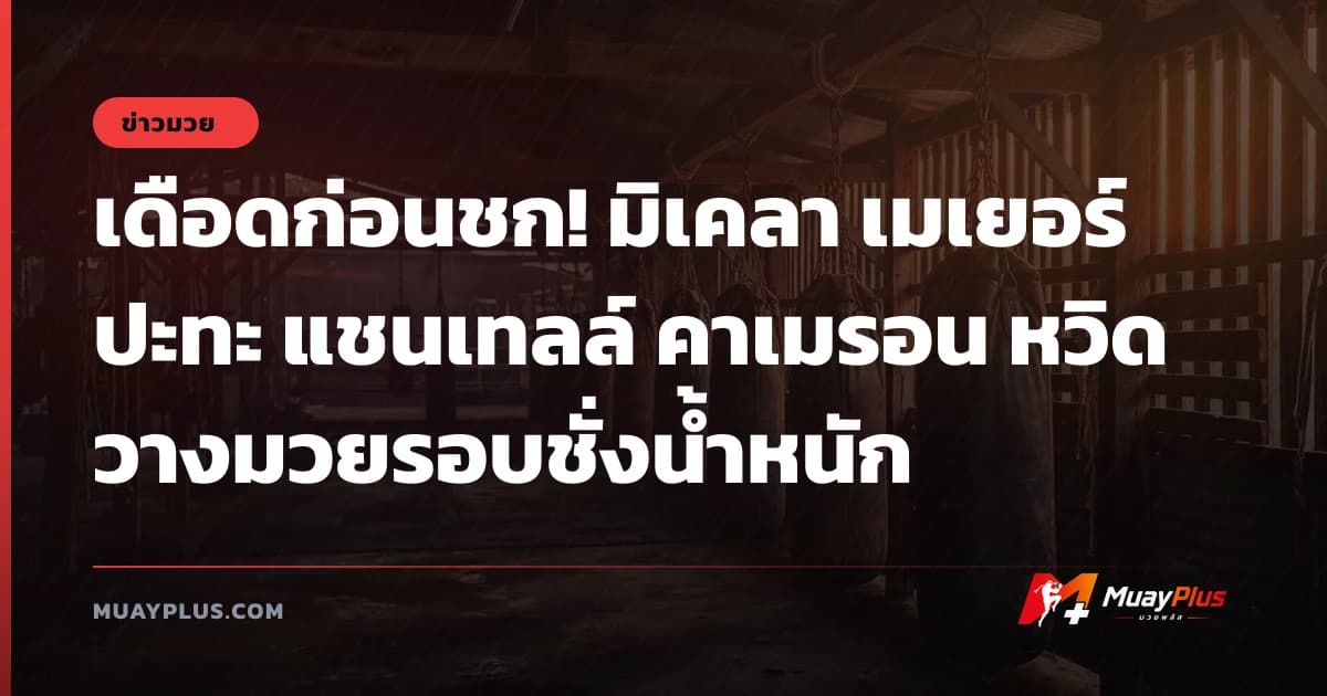 เดือดก่อนชก! มิเคลา เมเยอร์ ปะทะ แชนเทลล์ คาเมรอน หวิดวางมวยรอบชั่งน้ำหนัก