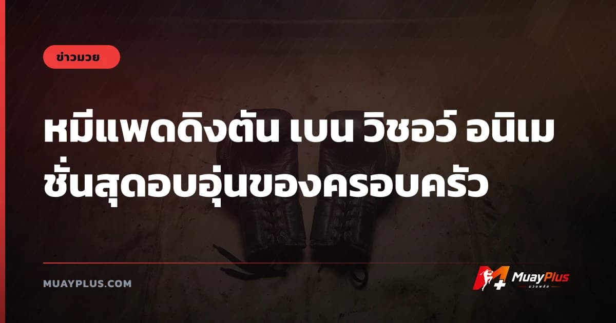 หมีแพดดิงตัน เบน วิชอว์ อนิเมชั่นสุดอบอุ่นของครอบครัว